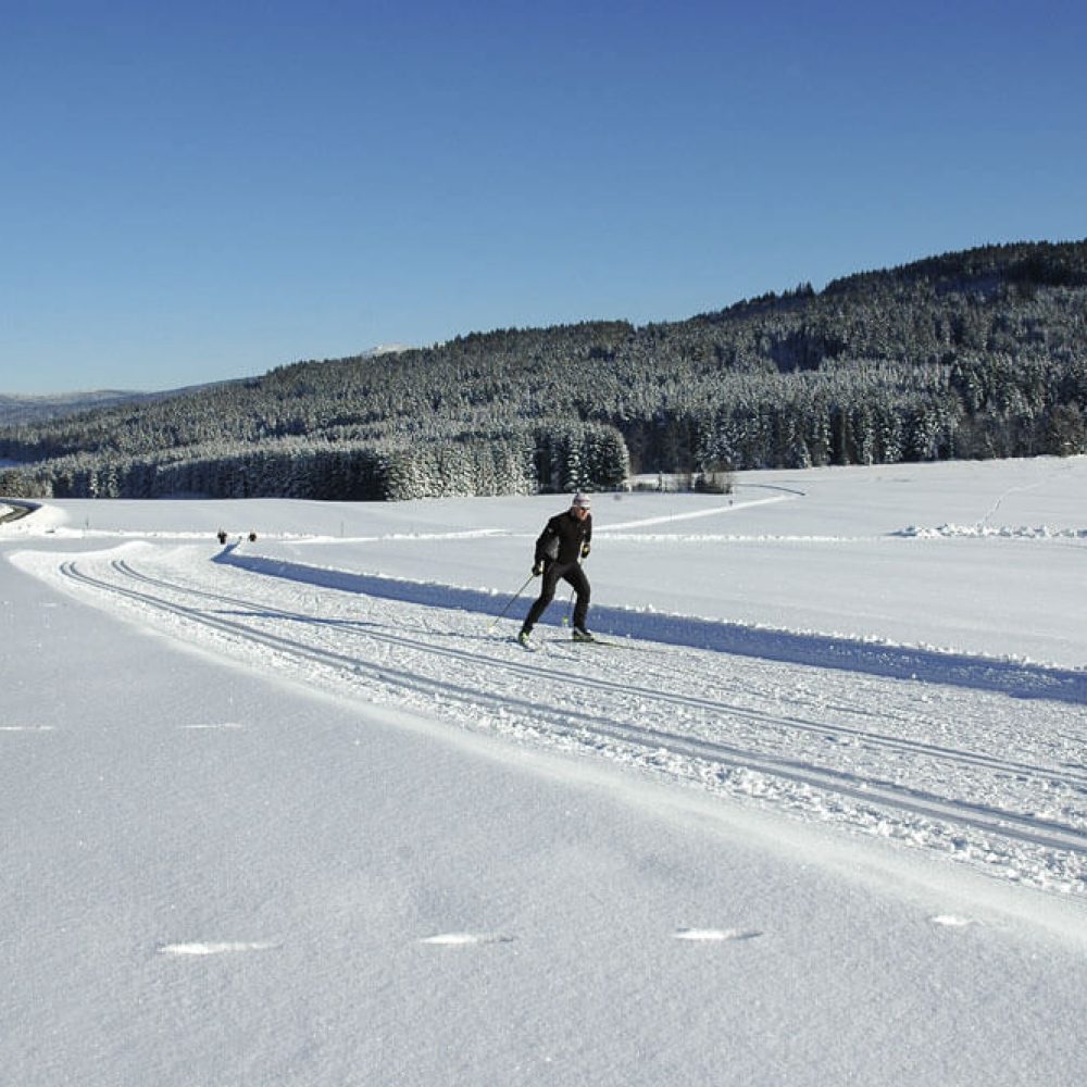Langlauf__DSC_3879__DSC_3879_.jpg